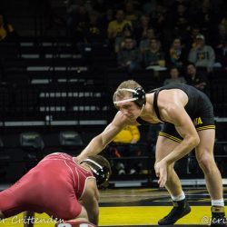 Hawks Take on Gophers at Home